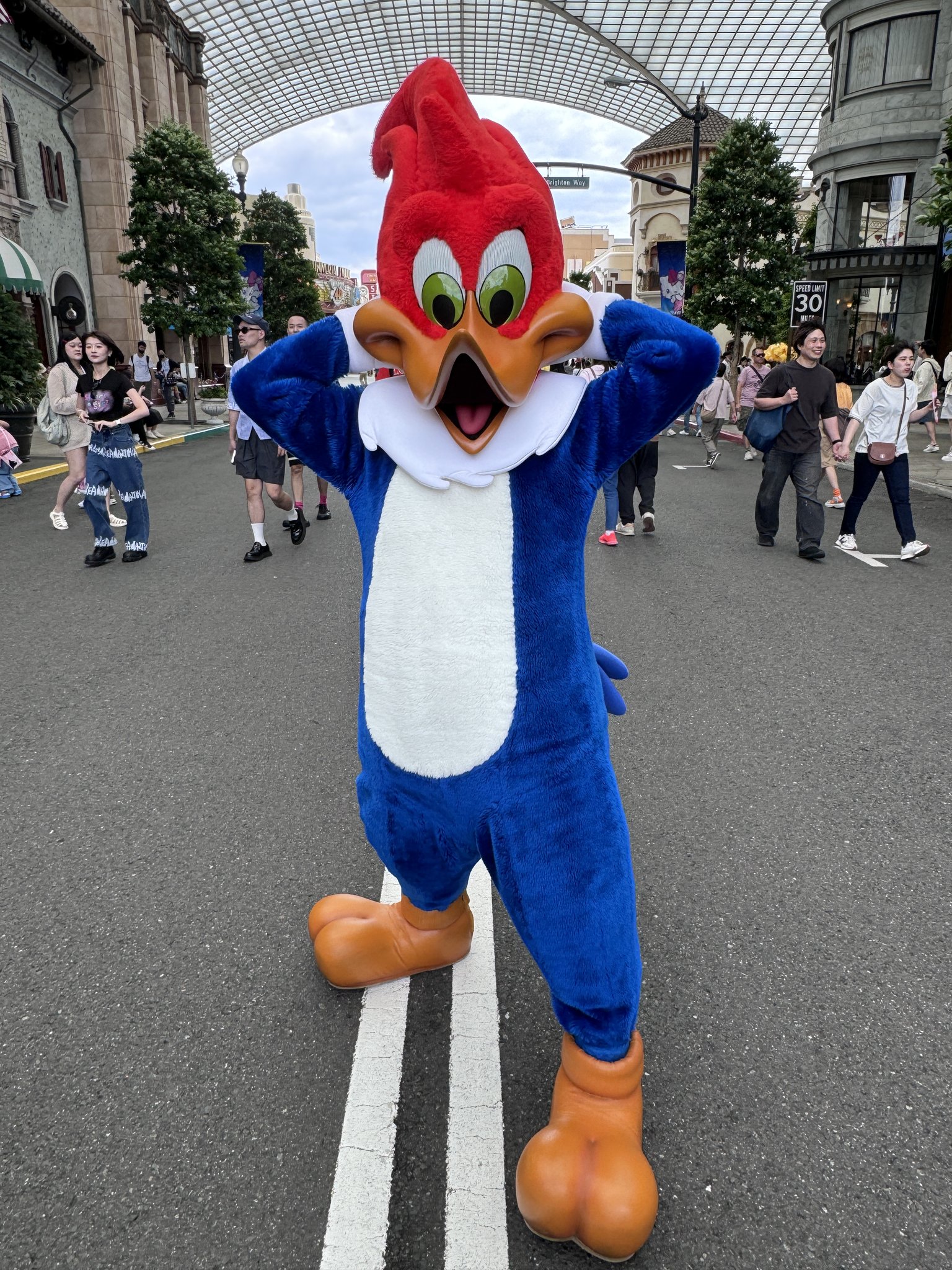 ウッディー・ウッドペッカー